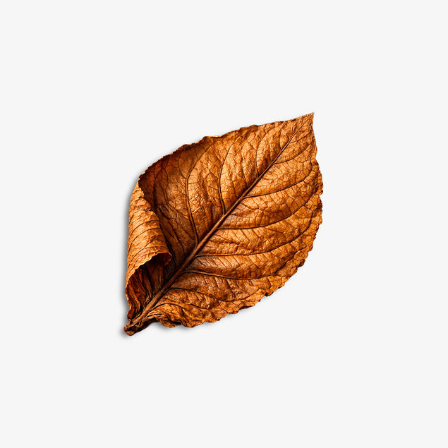 Tobacco